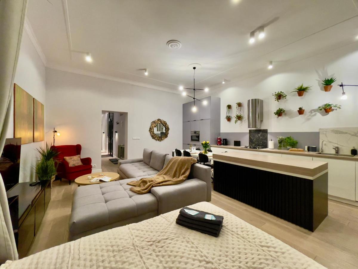 Spacious In The Center- Main Square 300m Apartment